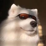 Avatar of Aisha Raza